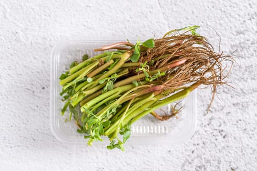 Natural purslane stems and grounded roots on white stone table