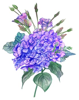 bouquet of blue Hydrangea flower drawn in watercolor and pencil isolated on white background for postcards and girlish design and prints on clothes