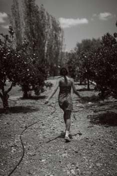 A woman walks in an orchard, captured in a serene black and white photograph, highlighting natural beauty.