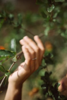 A hand with a ring gently touches green leaves in a peaceful natural setting, evoking a serene and tranquil moment