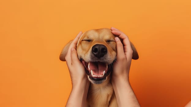 Happy dog smiling with hands on its face on orange background, cute pet portrait