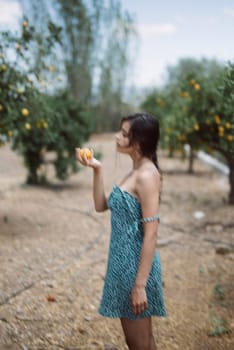 A woman wearing a blue dress stands in an orchard under the sun, holding an orange, surrounded by citrus trees