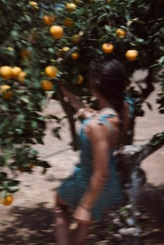 A woman collecting ripe yellow citrus fruits from trees in a sunny orchard, showing the beauty of farm life