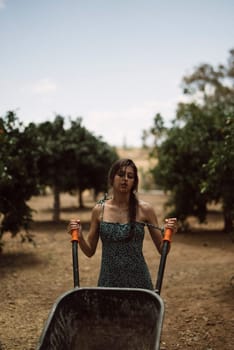 A woman in blue dress works in an orchard, pushing a wheelbarrow under the sun, tending to farmland and trees