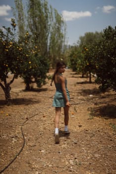 A young girl walks in a fruit orchard on a sunny day, surrounded by beautiful trees, creating a serene atmosphere