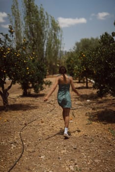 Back view of a woman in a green sundress walking through a sunlit orange grove on a warm summer day.