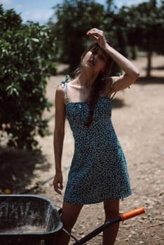 Young woman wipes sweat in sunny orchard, posing with a wheelbarrow, surrounded by greenery and rustic farm setting
