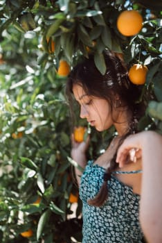 A young woman with braided hair standing in a summery orchard surrounded by ripe oranges in a floral dress