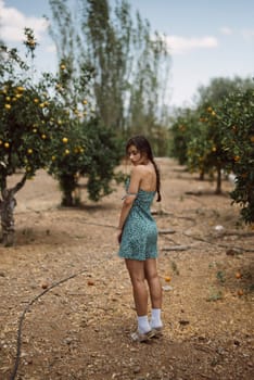 Young woman in a summer dress stands gracefully in a lush orchard, looking back over her shoulder in peaceful setting