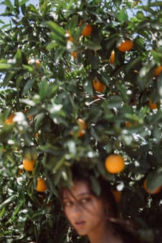 A serene portrait of a young woman standing amidst a lush green orange grove with ripe oranges hanging from the tree.