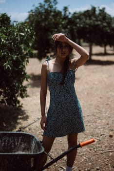 A young lady in a blue dress shields her eyes from the sun in a serene rural orchard surrounded by trees and sunlight