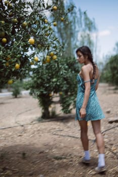In the countryside, a woman walks through an orchard with ripe fruit trees on a sunny day, wearing a blue dress