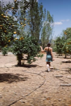 A woman walking through an orchard with trees and blue sky, enjoying the sunny, peaceful day outdoors.