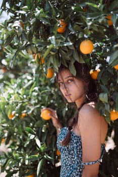 A woman in a summer dress is standing under an orange tree, surrounded by leaves and fruit on a bright sunny day