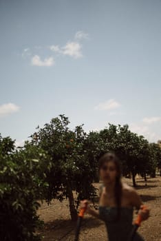A young woman is harvesting oranges in a sunny orchard, illustrating the connection between agriculture and nature