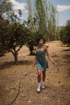 A woman in a green dress holding an orange, standing in a sunny orchard surrounded by trees under a blue sky