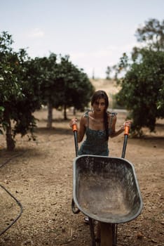 A sunny orchard scene showing a woman pushing a wheelbarrow in a peaceful countryside setting surrounded by trees
