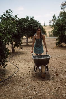 A woman pushes a wheelbarrow in a sunny garden during summer, showcasing outdoor work and labor in nature
