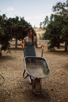 In a sunny orchard, a young woman is positioned with a wheelbarrow amongst trees, embodying an agricultural setting