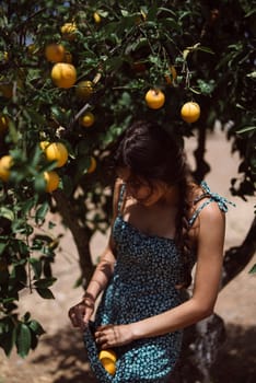 Woman in floral dress picking ripe lemons from a tree in a sunny orchard, focus on nature and harvesting.