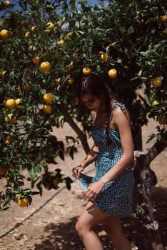A woman in a blue dress picking lemons from a tree in an orchard on a sunny day, showcasing natural beauty.