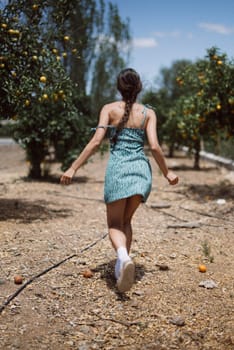 A woman in blue dress and white shoes walks in a fruit orchard among orange trees, enjoying the beautiful surroundings