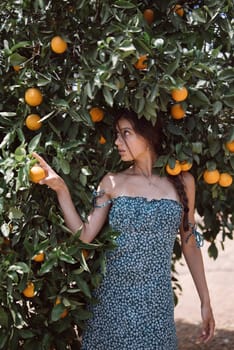 Woman in floral dress picking oranges in orchard, surrounded by greenery, enjoying a harmonious moment in nature