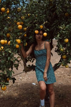 In a sunny orchard, a young woman in a blue dress stands among orange trees, portraying a serene and organic setting