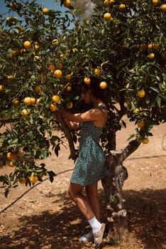 Woman in patterned dress harvesting lemons in a sunny orchard, showcasing beauty and agriculture in a natural setting