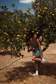 A woman in a summer dress is standing near a citrus tree in an orchard on a sunny day, surrounded by ripe fruits