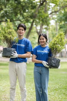 A group of volunteers planting trees in a park, contributing to environmental conservation and community engagement efforts.