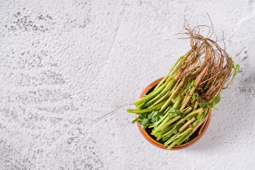 Natural purslane stems and grounded roots on white stone table