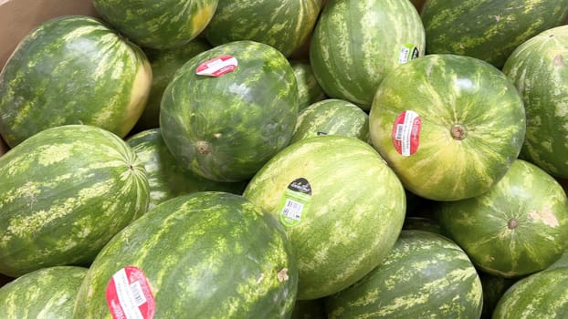 Denver, Colorado, USA-June 10, 2024-Slow motion-A vibrant display of fresh, ripe watermelons at Sams Club. The watermelons, each with a sticker indicating their quality, are piled high and ready for customers to purchase.