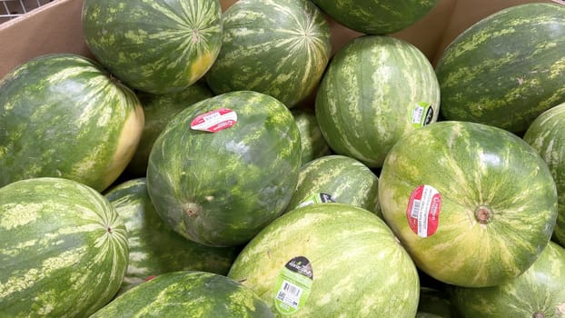 Denver, Colorado, USA-June 10, 2024-Slow motion-A vibrant display of fresh, ripe watermelons at Sams Club. The watermelons, each with a sticker indicating their quality, are piled high and ready for customers to purchase.