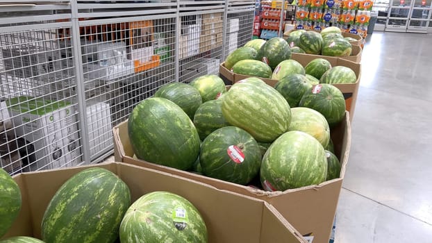 Denver, Colorado, USA-June 10, 2024-Slow motion-A vibrant display of fresh, ripe watermelons at Sams Club. The watermelons, each with a sticker indicating their quality, are piled high and ready for customers to purchase.