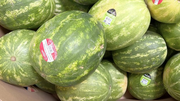 Denver, Colorado, USA-June 10, 2024-Slow motion-A vibrant display of fresh, ripe watermelons at Sams Club. The watermelons, each with a sticker indicating their quality, are piled high and ready for customers to purchase.