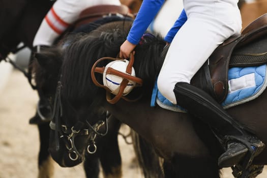 Children on horses playing horseball France