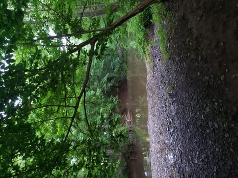 View of Simpson Creek, Bridgeport, West Virginia