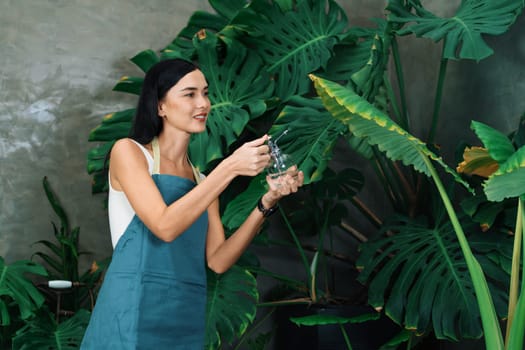 Young female gardener tending and gentle watering to tropical plant in minimalist architectural concrete style summer exotic plant foliage garden, home gardening for environmentalist lifestyle. Blithe