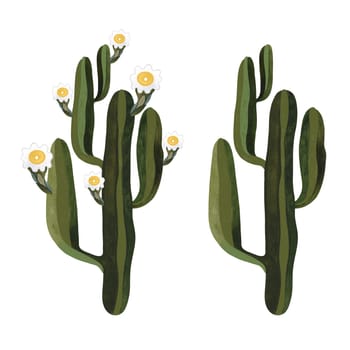 Saguaro. Blooming cactus with white and yellow flowers. Plants for the home. Floriculture. Desert flora. Isolated watercolor illustration on white background. Clipart