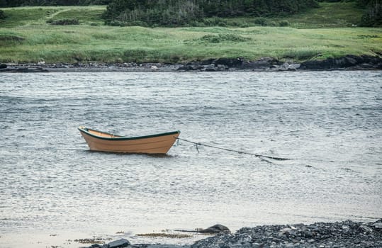 Fishing Boat Anchored in Newfoundland and Labrador