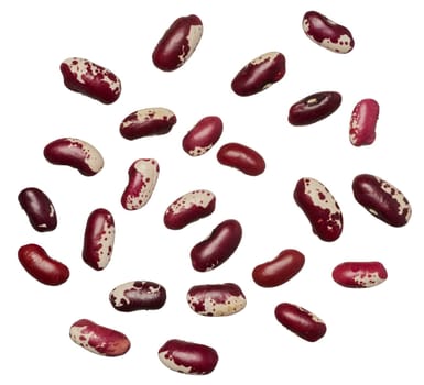 Raw brown beans on isolated background, top view