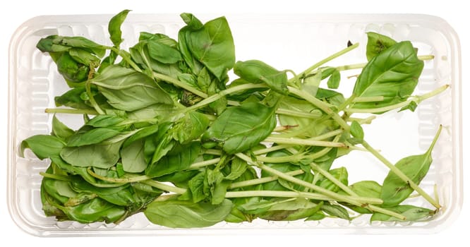 Bunch of basil with wilted leaves on isolated background, top view