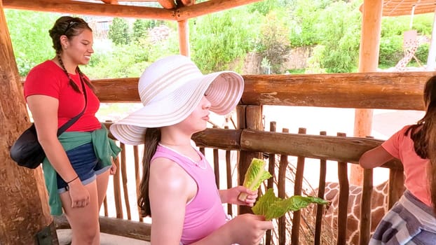 Colorado Springs, Colorado, USA-June 12, 2024-Slow motion-A lively scene at a zoo in Colorado Springs, Colorado, where visitors enjoy an interactive experience with giraffes. The setting includes a rustic wooden platform and feeding area, surrounded by picturesque mountain views and lush greenery. Families and tourists are seen engaging with the giraffes, creating an educational and memorable outing. The zoo thoughtful design integrates natural elements, enhancing the overall visitor experience and showcasing the beauty of wildlife.