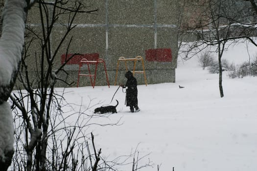 A woman in black clothes with a dog walks through a snowy city yard during a blizzard. Walking the dog in bad, cold weather.