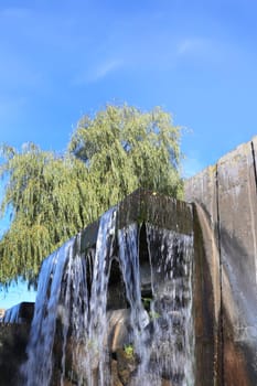 A waterfall against a background of a tree on the river bank against the sky, view from below.