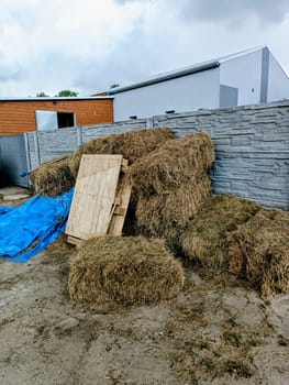 Pile of manure in front of a barn. High quality photo. Farm life. Mobile vertical photo