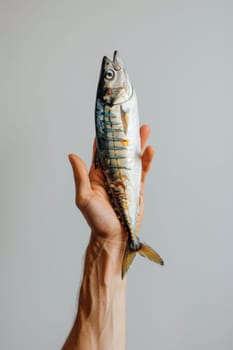 Person holding small fish in hand on white background for travel and nature concept art and beauty theme