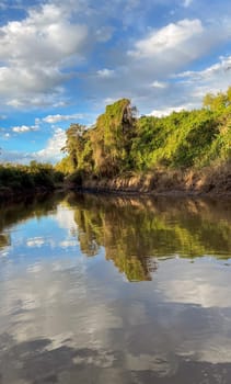 Shot from a boat on the peaceful Parana river, Rosario, Argentina. Vertical photo.wallpaper. Space for text. Banner for tourist promotion.