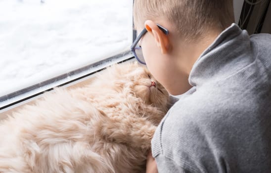 A child, a boy plays with his favorite fluffy red cat by the window. A child strokes a cat. Attachment between children and pets. The funny life of cats at home.